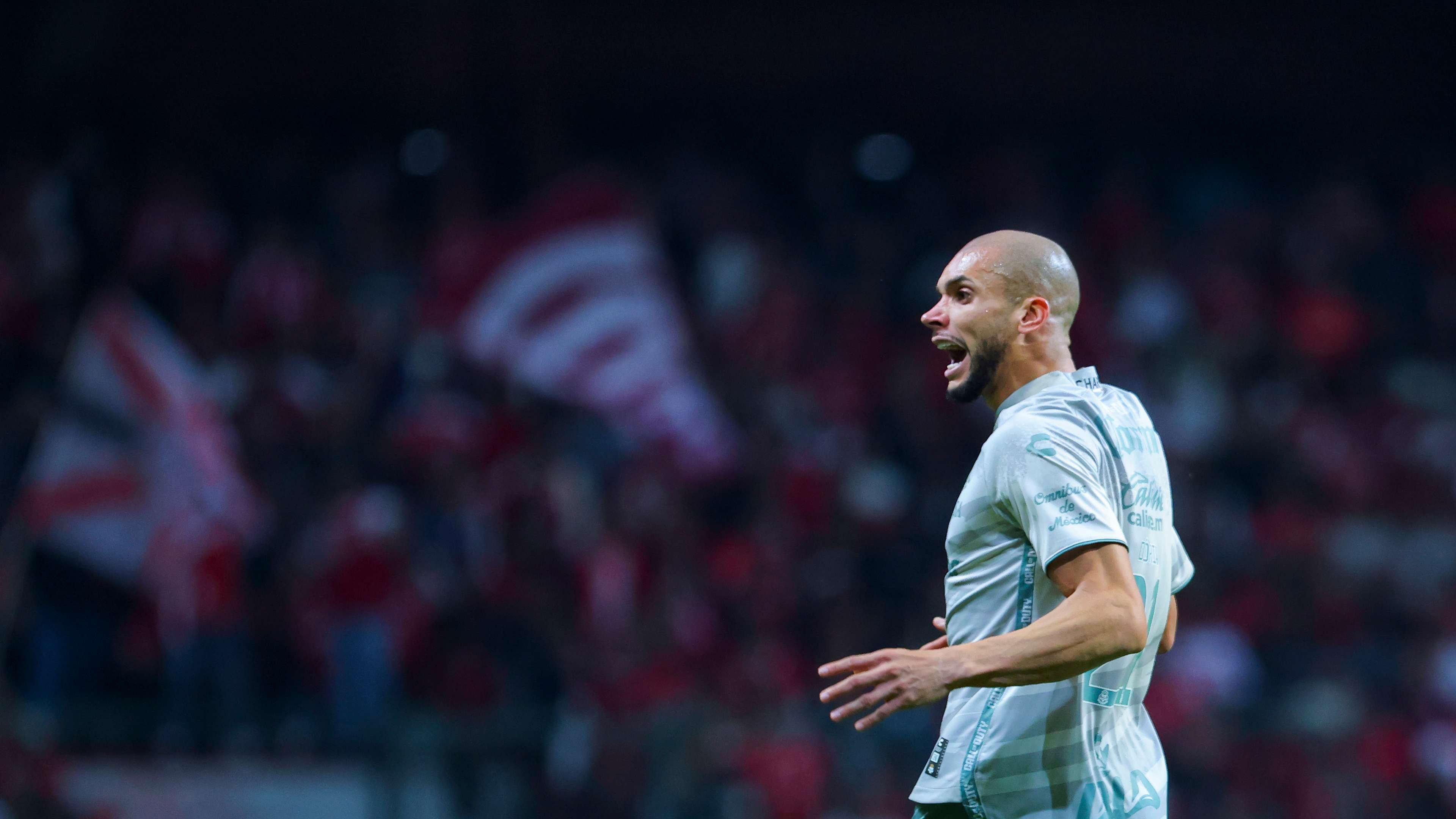 种图片和表 种图片和表