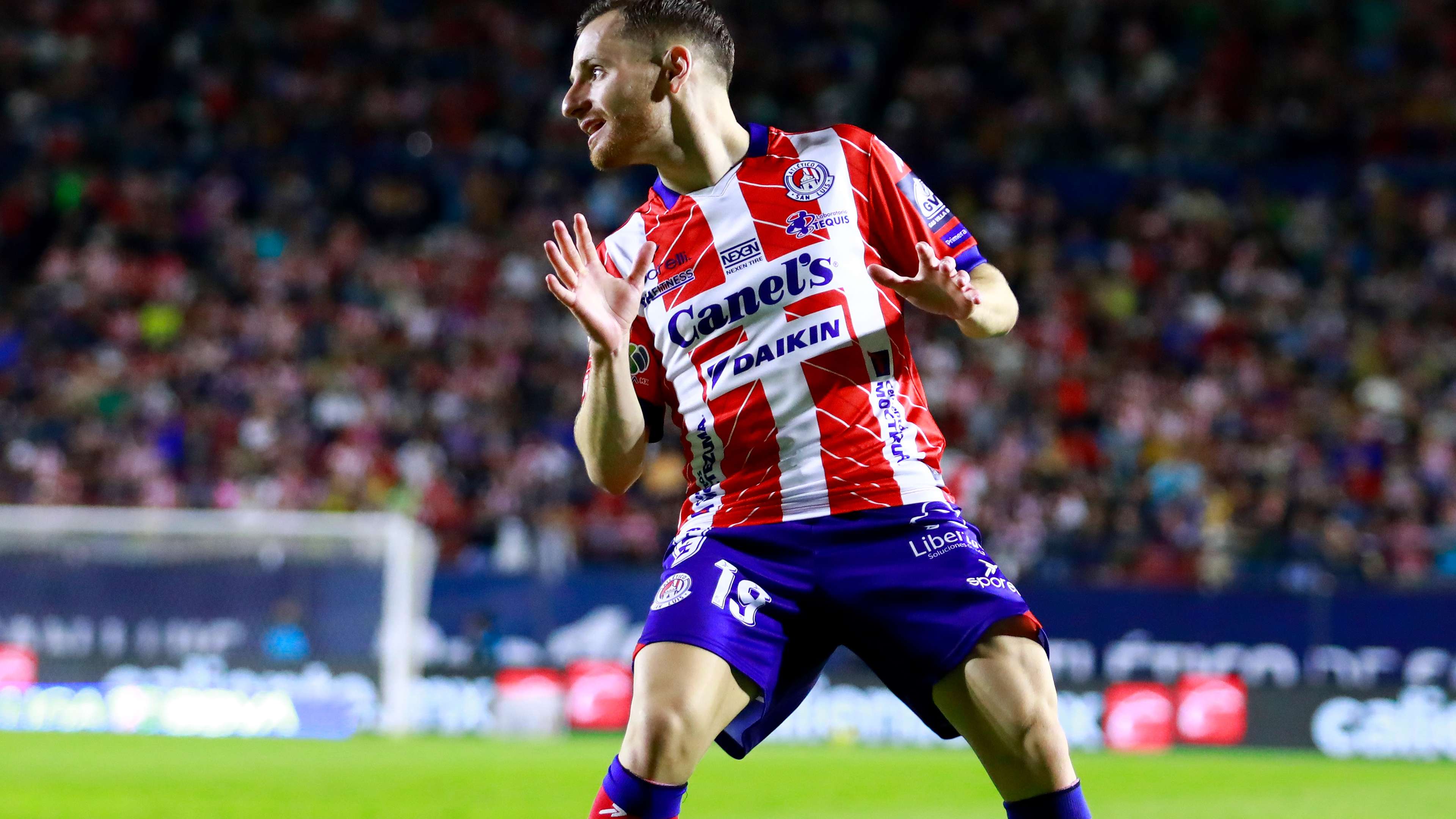 解约条款为 解约条款为