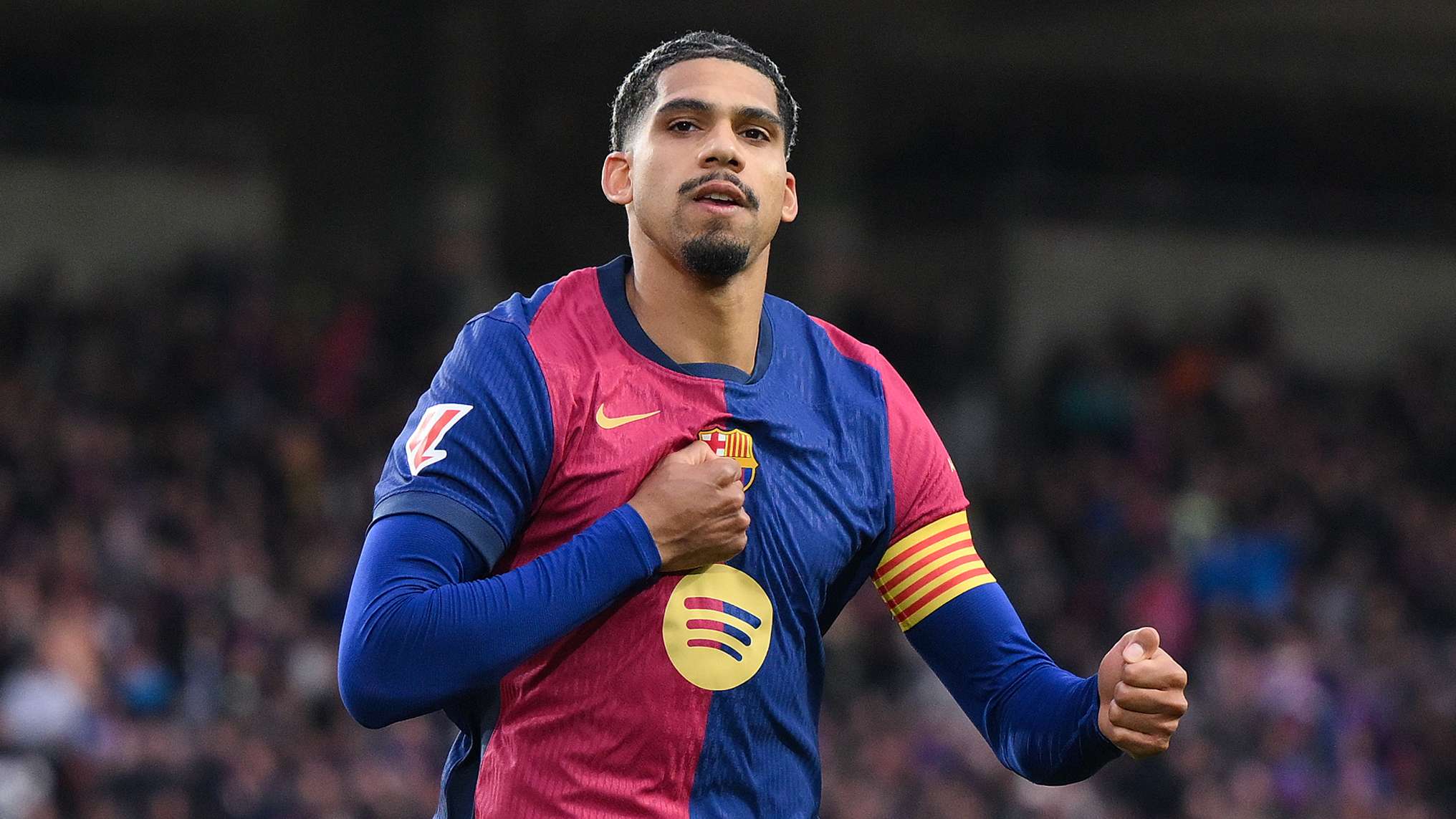 而另一些则 而另一些则